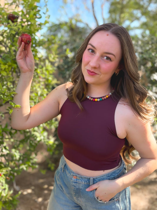 Solid Maroon Bra Top