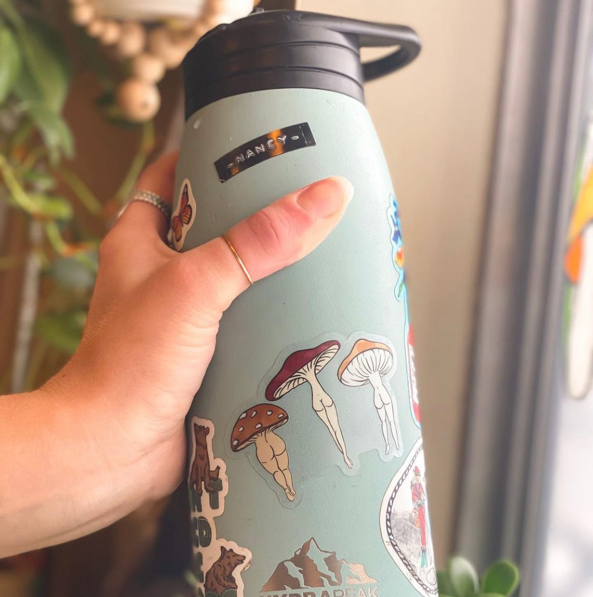 Mushroom Trio Sticker